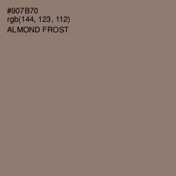 #907B70 - Almond Frost Color Image